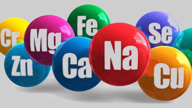 <h1>Su ve Mineraller Nedir? </h1>